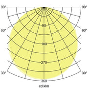 Brumberg Leuchten - Decken-/Wandleuchte LED-Panel 32073074 4000K