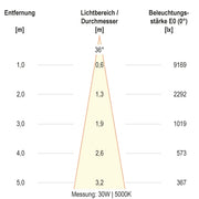 EVN Lichttechnik - Downlight/Strahler/Flutlicht LED-Schienenstrahler CT350925