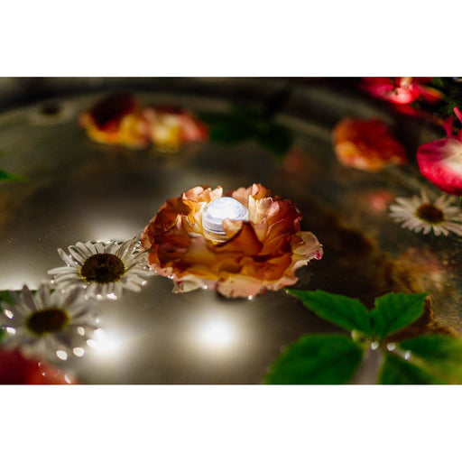 Hellum - Festbeleuchtung LED-Teelichter 6er-Set 523072 für innen und außen − 10 Stück