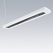 Thorn - Pendelleuchte LED - Pendelleuchte PUNCH 3 LV #96635733 830