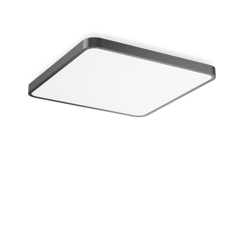 RZB - Decken-/Wandleuchte LED-Wand-u.Deckenleuchte 312662.0031.76 830, DALI, anthrazit