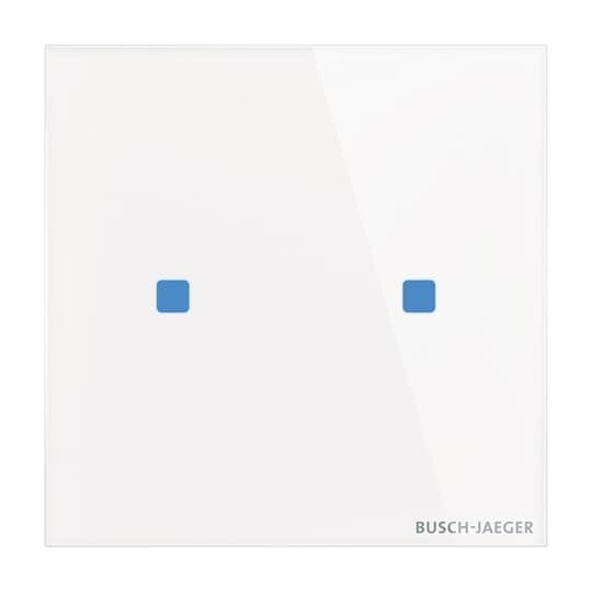 Busch-Jaeger - Bussystem-Tastsensor Touch-Bedienelement TB/U2.5.11-CG 2-fach