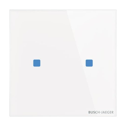 Busch-Jaeger - Bussystem-Tastsensor Touch-Bedienelement TB/U2.5.11-CG 2-fach