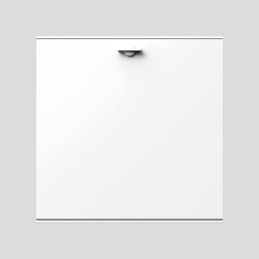 Siedle&Söhne - Funktionsmodul für Türkommunikation Ablagefach-Modul AFM 611-4/4-0 W weiss