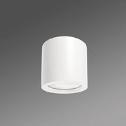 Regiolux - Downlight/Strahler/Flutlicht LED-Anbau-Downlight relo-UP #37691104140 840