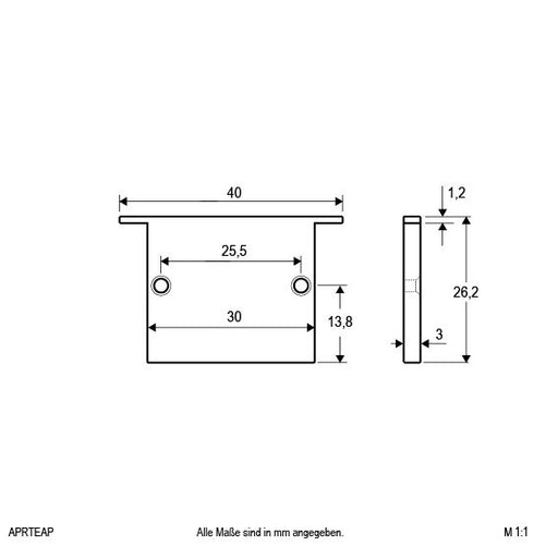 EVN Lichttechnik - Mechanisches Zubehör/Ersatzteile für Leuchten Alu-Profil-Endplatte APRTEAP inkl. 2xSchrauben