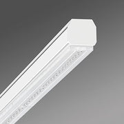 Regiolux - Geräteträger für Lichtbandsystem LED - Geräteträger SRGCB PP#19510026940 865, DALI2