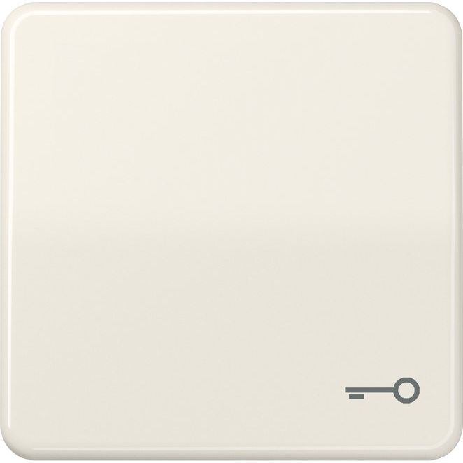 Jung - Abdeckung/Bedienelement für Installationsschalterprogramme Wippe Symbol TÜR ws CD 590 T für Taster
