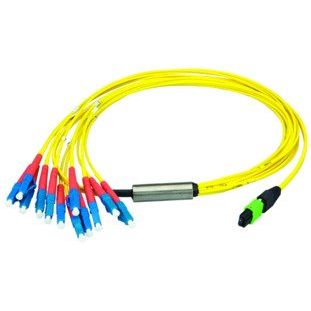 Telegärtner - Patchkabel LWL MPO/MTP Aufteilkabel gb 1m 100010926 MPO OS2 12LC SM
