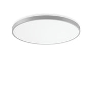 RZB - Decken-/Wandleuchte LED-Wand-/Deckenleuchte 312392.004.1.76 4000K, DALI