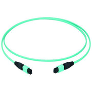 Telegärtner - Patchkabel LWL MPO/MTP-Patchkabl türk 70m 100011157 MPO PC OM3