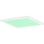 Ridi-Leuchten - Lichttechnisches Zubehör/Ersatzteile für Leuchten Dekorglasscheibe DQ235-SM-G-D-W