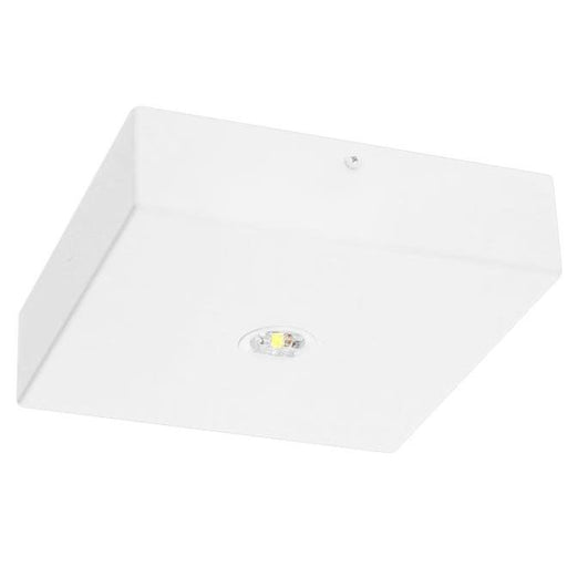 Fischer - Sicherheitsleuchte LED-Sicherheitsleuchte BQD325M.V2 EB 3h