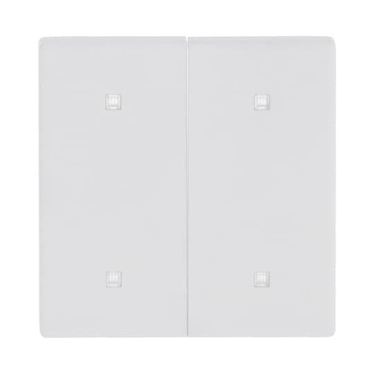 Busch-Jaeger - Abdeckung/Bedienelement für Installationsschalterprogramme Wippe 2-fach 2570-20-884 Elektroniktaster