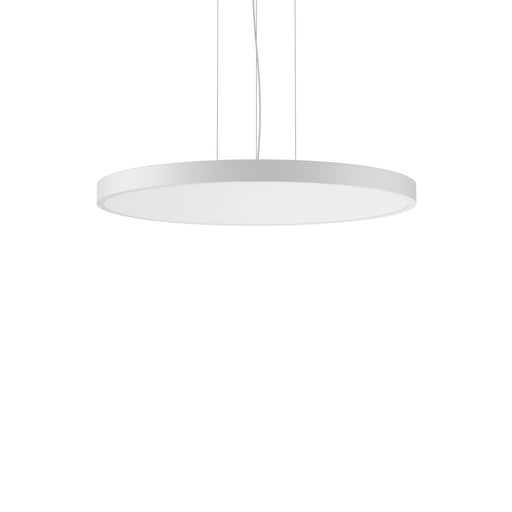 RZB - Pendelleuchte LED-Pendelleuchte 312390.002.1.76 4000K, DALI