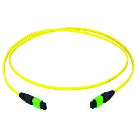 Telegärtner - Patchkabel LWL MPO/MTP-Patchkabel gb 20m 100011138 MPO APC OS2