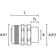 HellermannTyton - Metall-Schutzschlauch-Verschraubung Verschraubung PCS16-SM-M20 si − 10 Stück