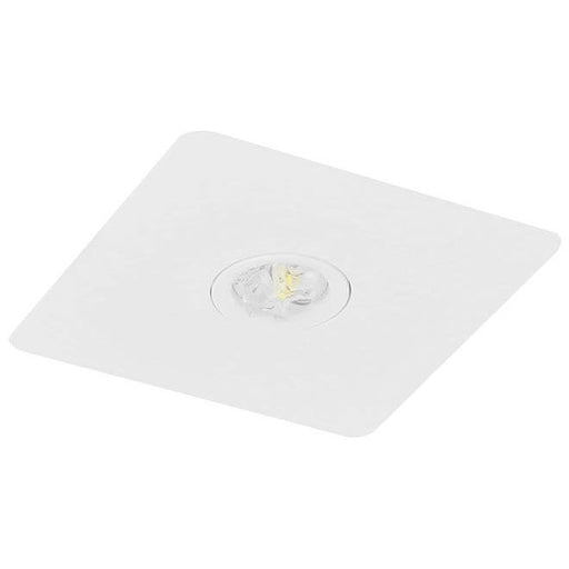 Fischer - Sicherheitsleuchte LED-Sicherheitsleuchte BQE325SC.V2 EB 3h