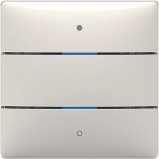 Theben - Bussystem-Tastsensor Tastsensor LUXORliving iON2 2 Tasten − 1 Stück