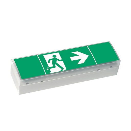 Ceag Notlichtsysteme - Sicherheitsleuchte LED-Einzelbatterie-Leuchte SV EURO4L LED 3h SET m.Prüftaster
