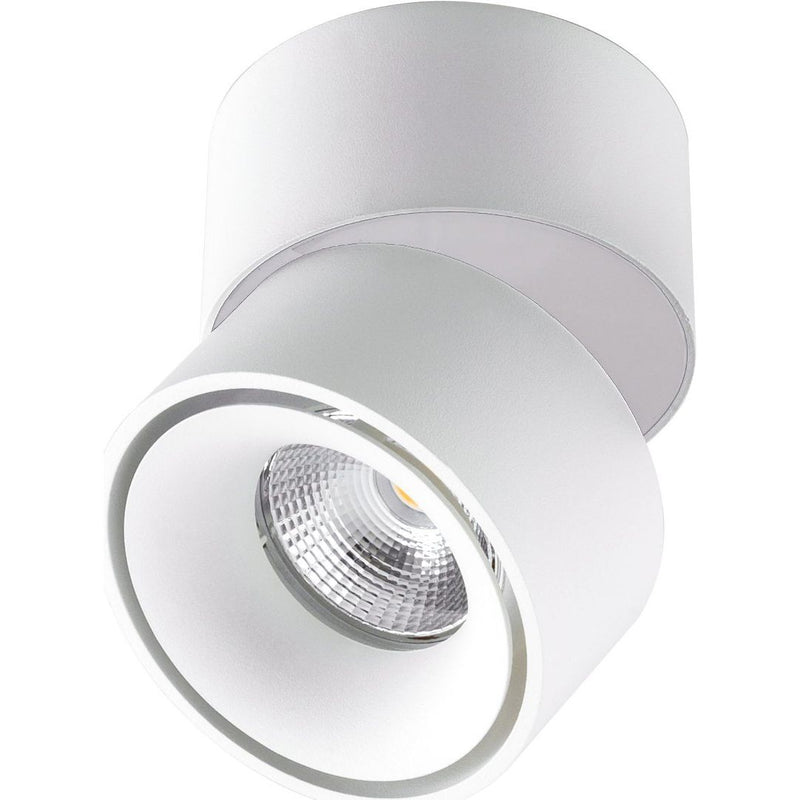 EVN Lichttechnik - Downlight/Strahler/Flutlicht Wand-u.Deckenleuchte AS20090125