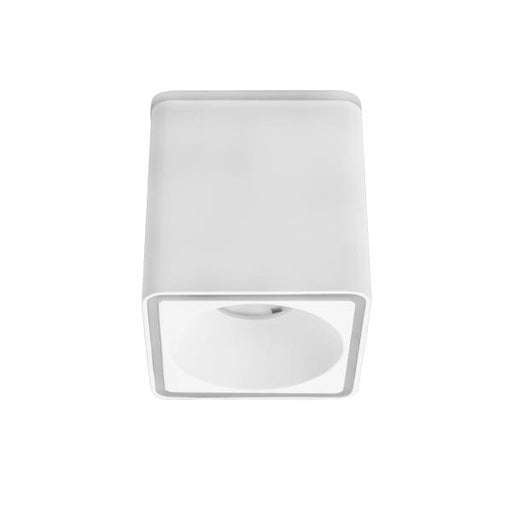 Brumberg Leuchten - Decken-/Wandleuchte LED-Anbaudownlight 230V 12126173