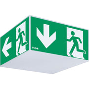 Ceag Notlichtsysteme - Sicherheitsleuchte Leuchte Exit Cube ExitCube33042LEDCG-S