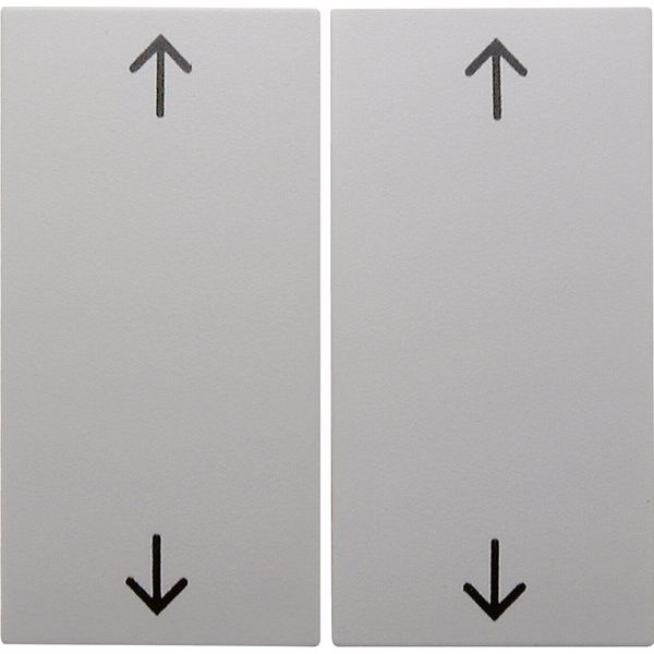 Berker - Abdeckung/Bedienelement für Installationsschalterprogramme Wippe pws/gl 16448989 Symbol Pfeil