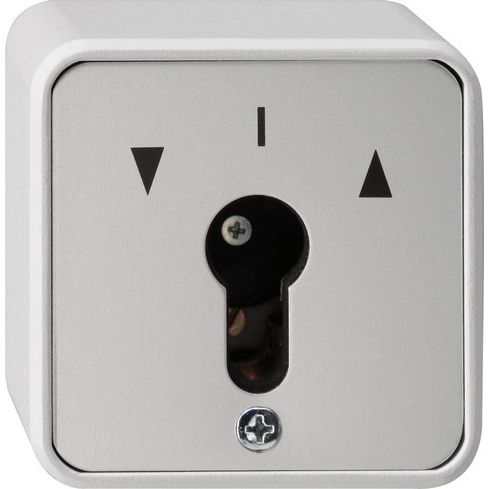 Gira - Installationsschalter Schlüsselschalter-Einsatz 014430 2-polig, AP-WG