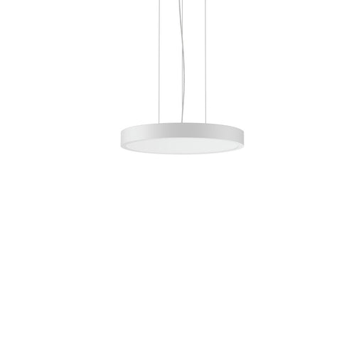 RZB - Pendelleuchte LED-Pendelleuchte 312422.002.2.76 2700-6500K weiß DALI