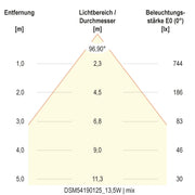 EVN Lichttechnik - Decken-/Wandleuchte LED-Deckenleuchte DSM54190125 ML, MC