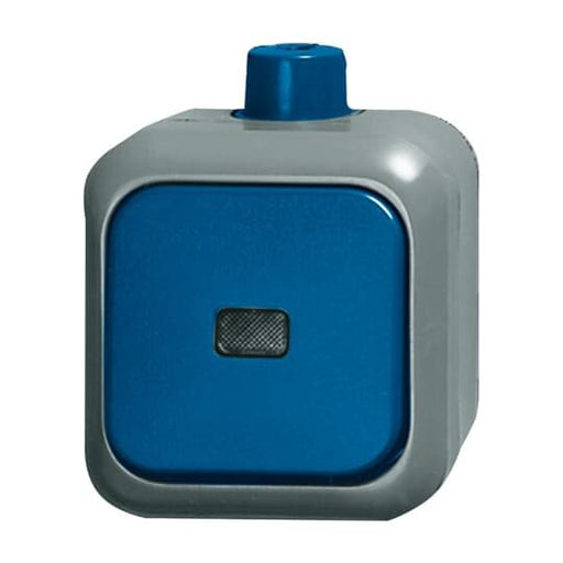 Busch-Jaeger - Installationsschalter Kontrollwechselschalter 2601/6 SKWDI AP