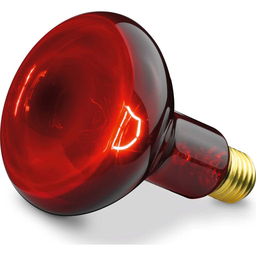 Beurer - Zubehör/Ersatzteile für Kleingeräte Zubehör f.Infrarotlampe SIL06/IL11 Ers. Ersatzstrahler