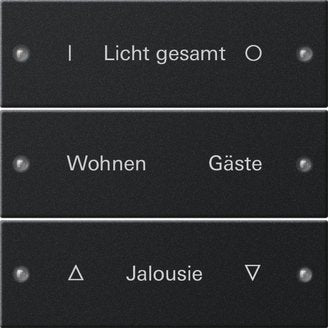 Gira - Bussystem-Tastwippe Wippenset 3-fach 2203005 beschr. System 55 sw