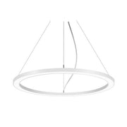 Brumberg Leuchten - Pendelleuchte LED-Pendel-Ringleuchte 13931178 TW DALI D750mm H35mm