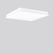 RZB - Sicherheitsleuchte LED-Wand-u.Deckenleuchte 672838.002.1 ZB