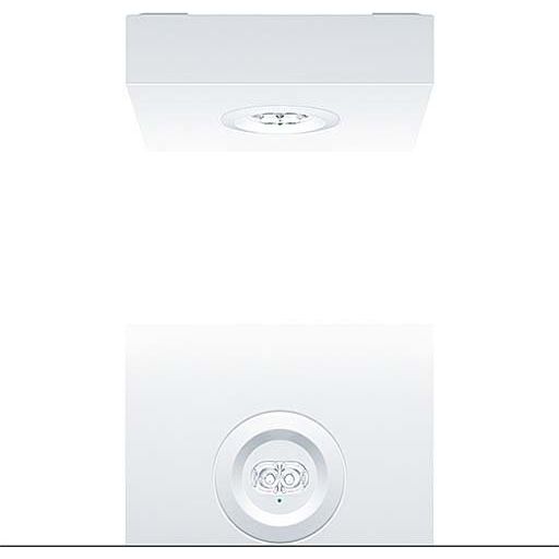 Zumtobel Group - Sicherheitsleuchte Sicherheitsleuchte RESCLITE #42185708 weiß