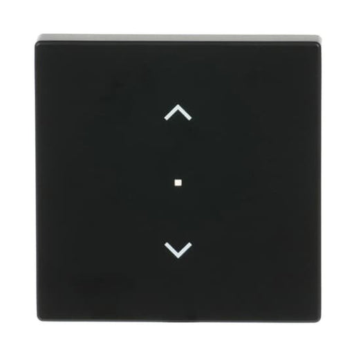 Busch-Jaeger - Bussystem-Tastwippe Wippe sw mt 6232-10-885 future linear