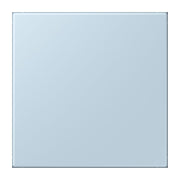 Jung - Behindertenelement für Installationsschalterprogramme Notrufsystem Netzteil NRS LC 0834 NT 208