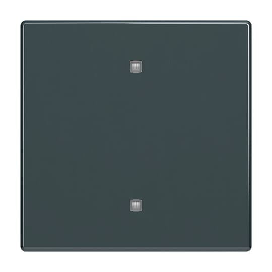 Busch-Jaeger - Abdeckung/Bedienelement für Installationsschalterprogramme Wippe 2570-10-81 Elektroniktaster