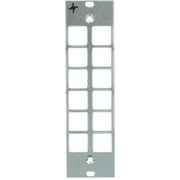 Telegärtner - Moduleinsatz für Patchpanel LWL Teilfrontplatte 3HE/7TE 100021462 eloxiert, 12xST