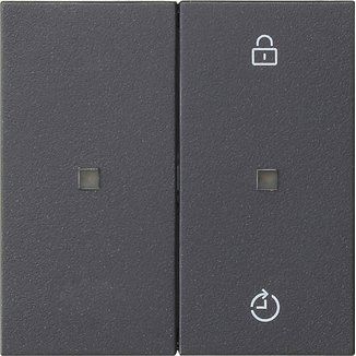 Gira - Bedienelement intelligent Funk-Bedienaufsatz 549328 Memory anthrazit