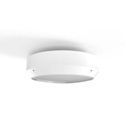 RP-Technik - Sicherheitsleuchte QCW428SC-BM-TT EB 8h
