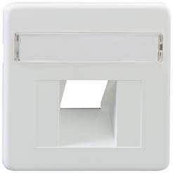 Rutenbeck - Einsatz/Abdeckung für Kommunikationstechnik Zentralstück ZSt UAE-Cat. 8 rw 1f.,m.Beschriftf.rws