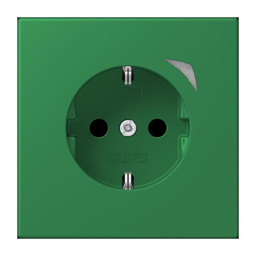 Jung - Steckdose SCHUKO Steckdose BT LC 1521 S 219 vert fonce (32050)