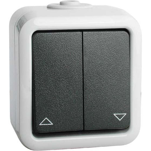 Peha - Taster Doppel-Taster 10A 250V gr D 629 T WAB mit Schraubklemmen