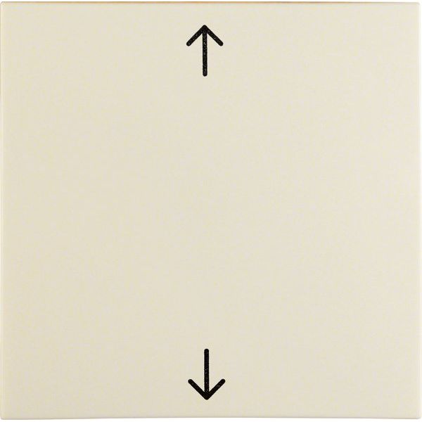 Berker - Abdeckung/Bedienelement für Installationsschalterprogramme Wippe ws/gl 16208912 Symbol Pfeil