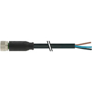 Murrelektronik - Passiver Sensor-/Aktor-Verteiler (mit Leitung) M8 mit Ltg. 7000-08041-6502000 − 1 Stück