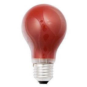 Scharnberger+Hasenbein - Allgebrauchsglühlampe Standard Glühlampe B60x105mm 40245 E27 230V 25W rot