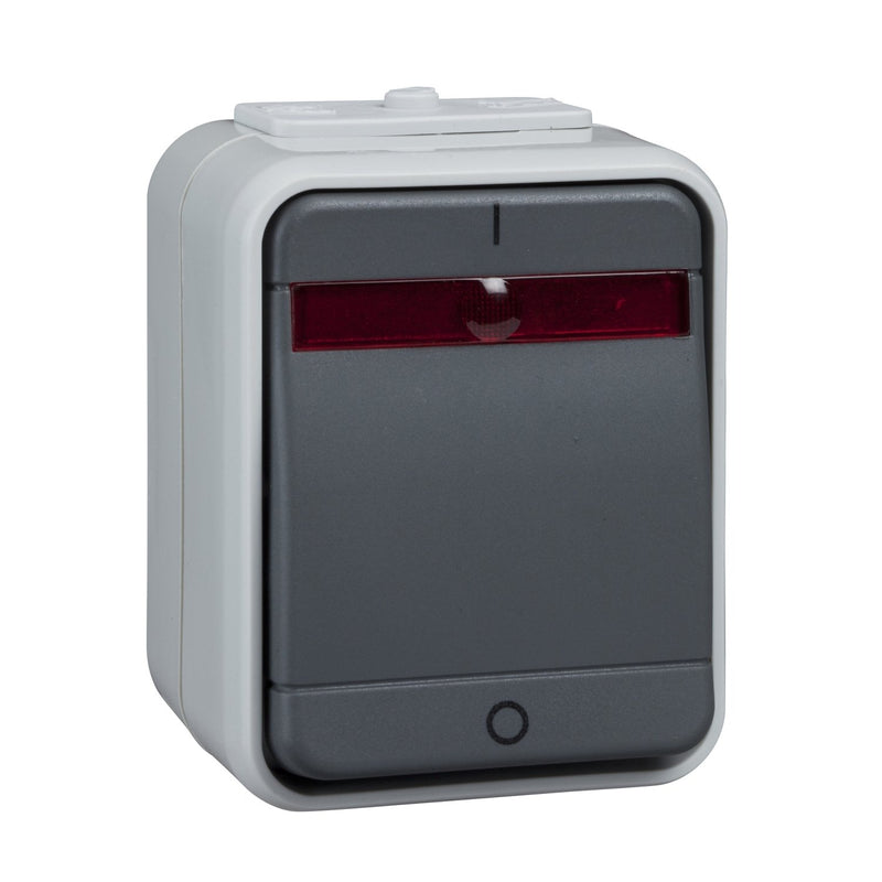 Elso - Installationsschalter Kontroll-Ausschalter AP ELG441219 2pol,bel,lgrau/dgrau